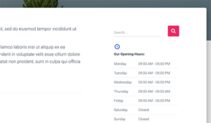 Beginner's Guide on How to Add Business Hours in WordPress