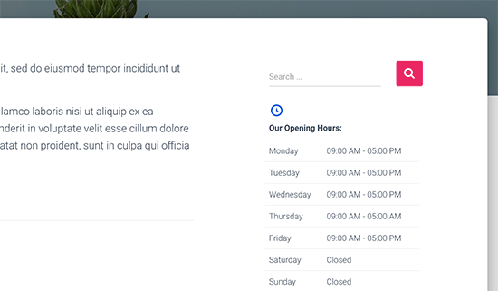 Business hours displayed in sidebar