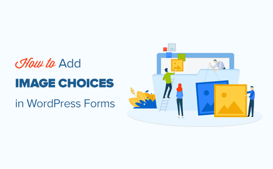 How to easily add image choices in a WordPress form