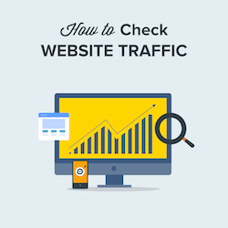 Website Traffic