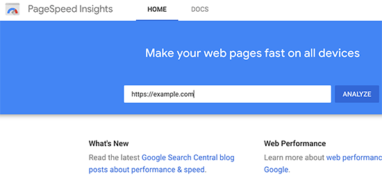 Using Page Speed Insights tool to view the core Web Vitals score