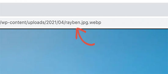 Verify WebP image is served