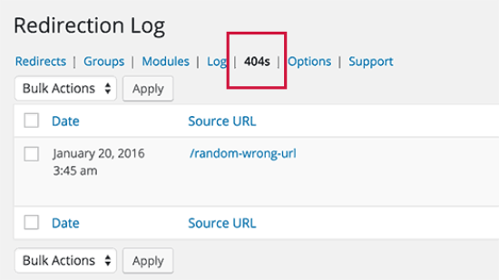 404 Logs in Redirection plugin
