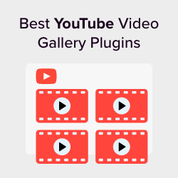 9 Best  Video Gallery Plugins for WordPress