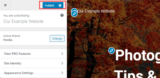 Click the Publish button in the customizer to make your homepage live