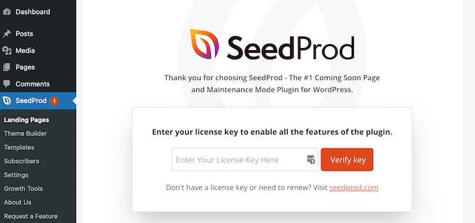 Entering the SeedProd license key