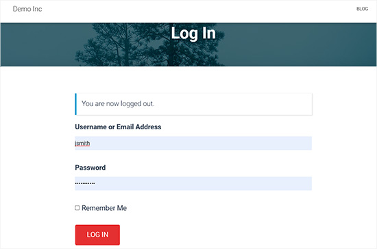 Login page preview