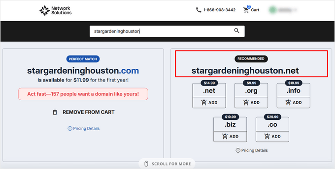 The .net domain is being promoted as an alternative to the .com one