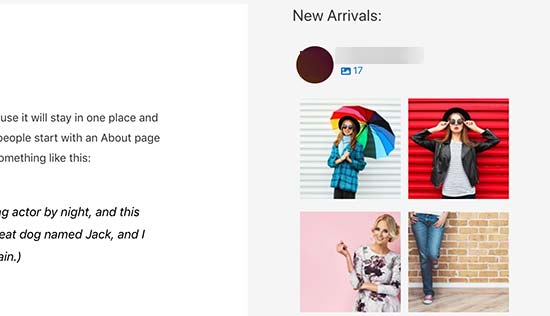 Instagram sidebar widget preview