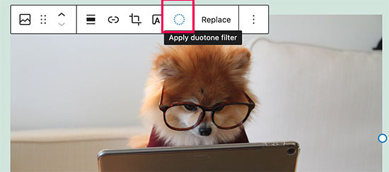 Applying duotone filter to images in WordPress 5.8