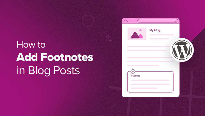 Add footnotes in WordPress blog posts