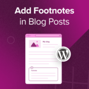 How to Add Simple and Elegant Footnotes in Your WordPress Blog Posts