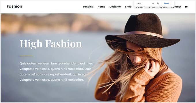 Divi fashion theme