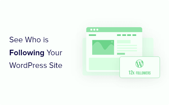 See Who Is Following Your WordPress Site Og