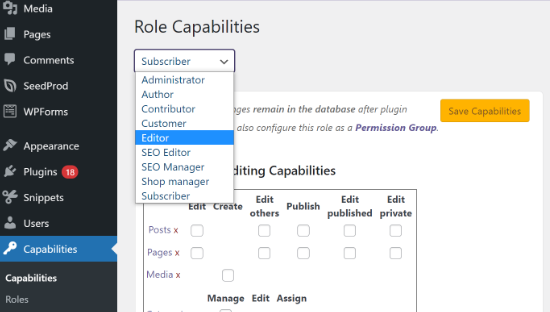 Select User Role Capabilities