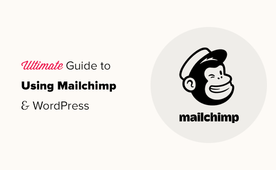 Using Mailchimp Wordpress Og 1