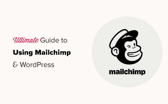 The easiest way to move Mailchimp data – Supermetrics