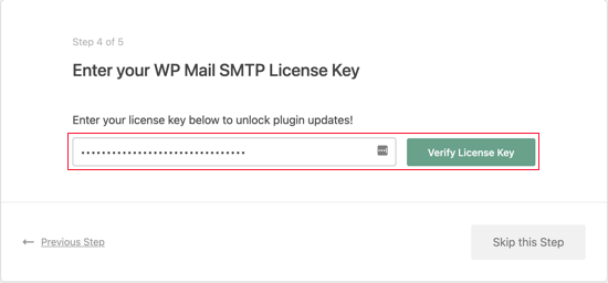 输入您的 WP Mail SMTP 许可证密钥