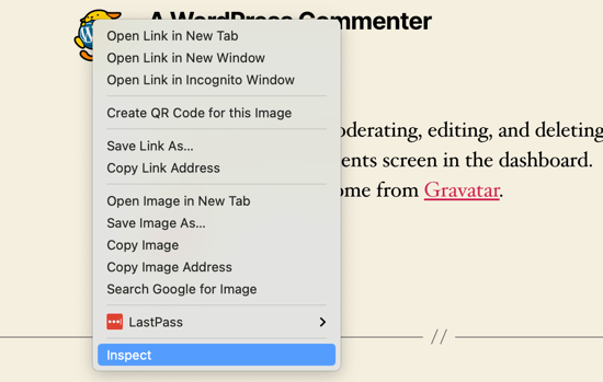 How To Change The Gravatar Image Size In WordPress 