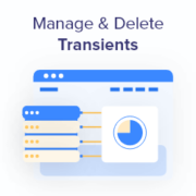 How to Manage and Delete Transients in WordPress (The Easy Way)