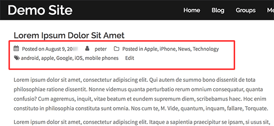 Post meta data messy example - WPBeginner Post meta data messy example
