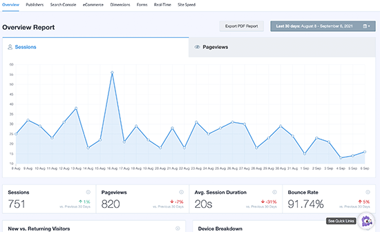 MonsterInsights reports overview