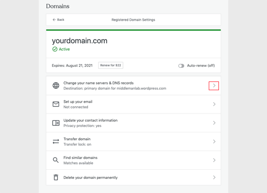 Change Your Name Servers & DNS Records