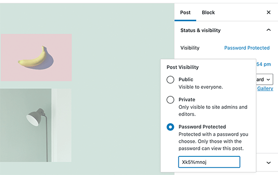 Password protected post in WordPress