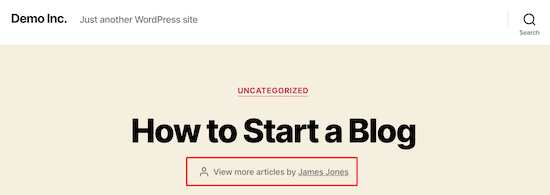Post meta author name - WPBeginner Post meta author name