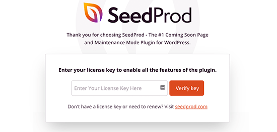 SeedProd license key