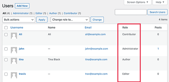 Users with different roles on a WordPress website