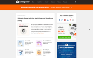 23 Popular Types of Websites You Can Make in WordPress (+Examples)