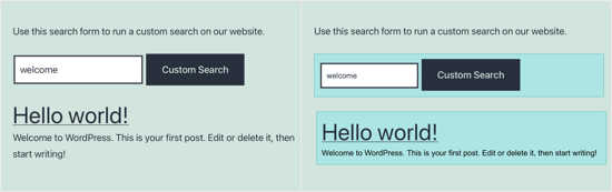 Anteprima CSS personalizzata di SearchWP