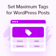 How to Set Maximum Number of Tags for WordPress Posts
