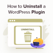 Uninstall a WordPress Plugin