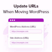 Update URLs when Moving your WordPress Site