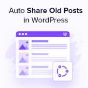 How to Automatically Share Your Old WordPress Posts (Step by Step)