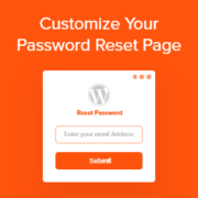 How To Customize WordPress Reset Password Page