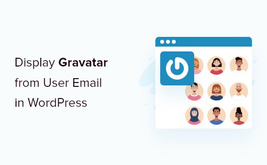 How to display user Gravatar from user email address in WordPress (step by step)