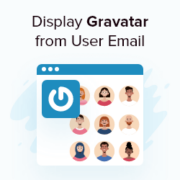 How to Display Gravatar from User Email in WordPress (Step by Step)