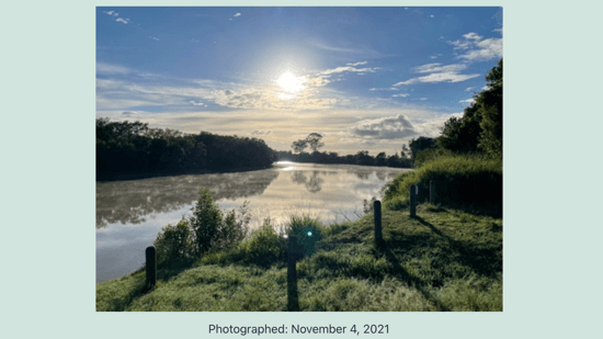 Exif Details Preview