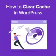 How to Clear Your Cache in WordPress (4 Ways)