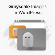 How to Grayscale images