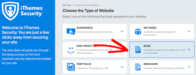 Choose type of website