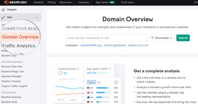 Semrush Domain Overview Tool