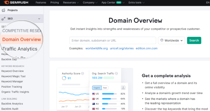 Domain overview Semrush