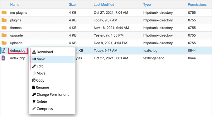 فایل debug.log را دانلود، مشاهده یا ویرایش کنید