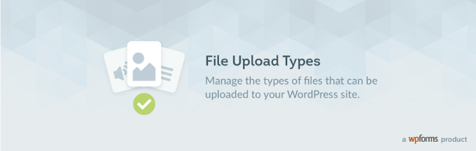 WPForms 的文件上传类型