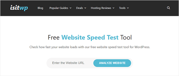 isitwp website speed test