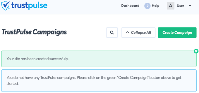'캠페인 만들기' 버튼을 클릭합니다.